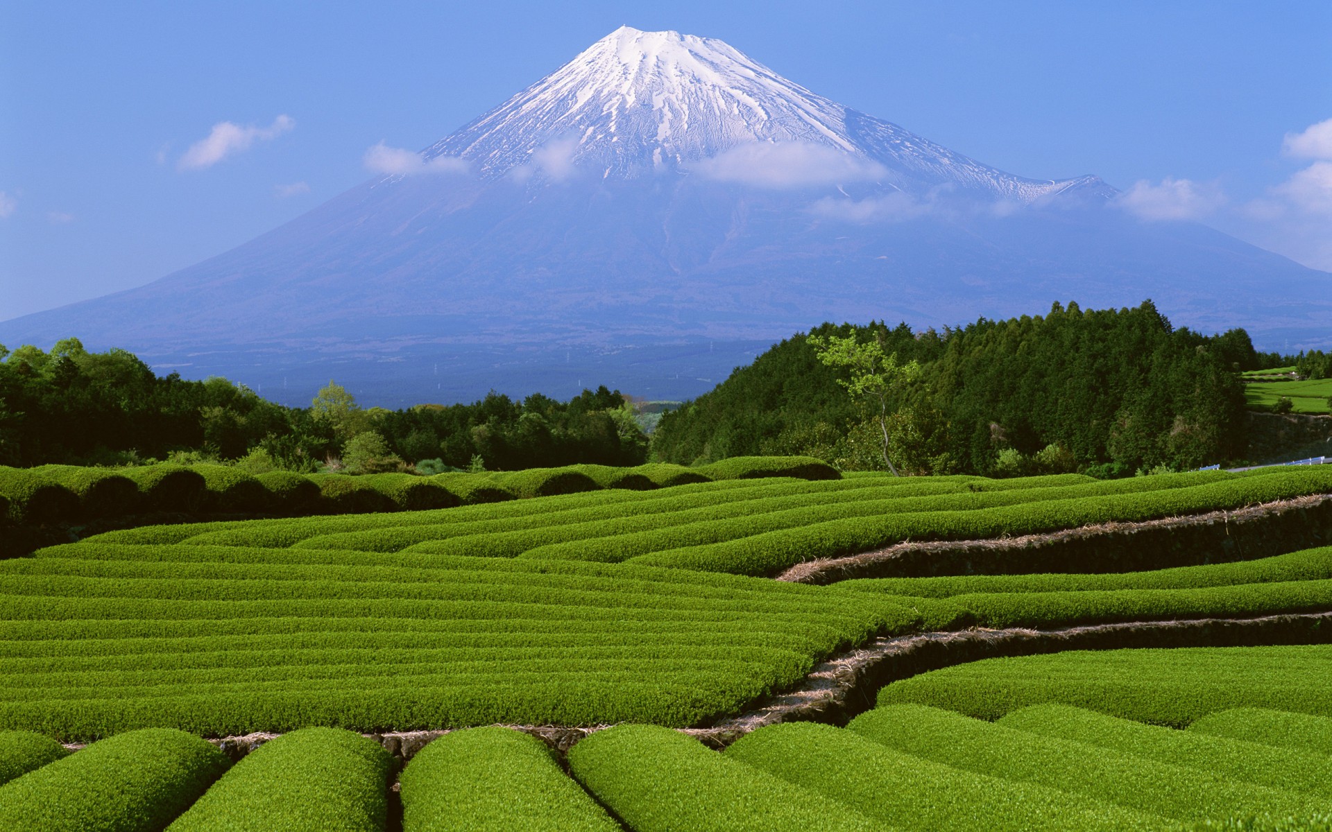 giappone montagna fuji