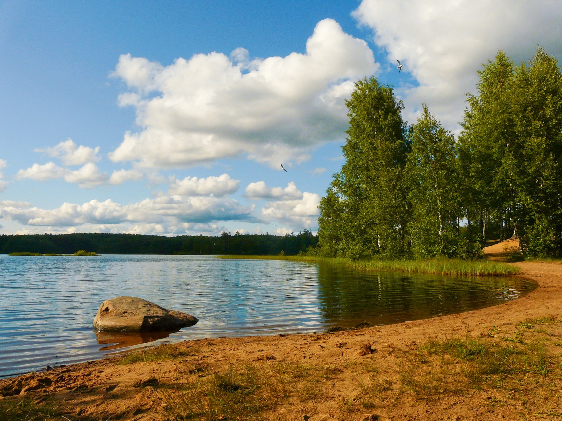 озеро лес пляж небо