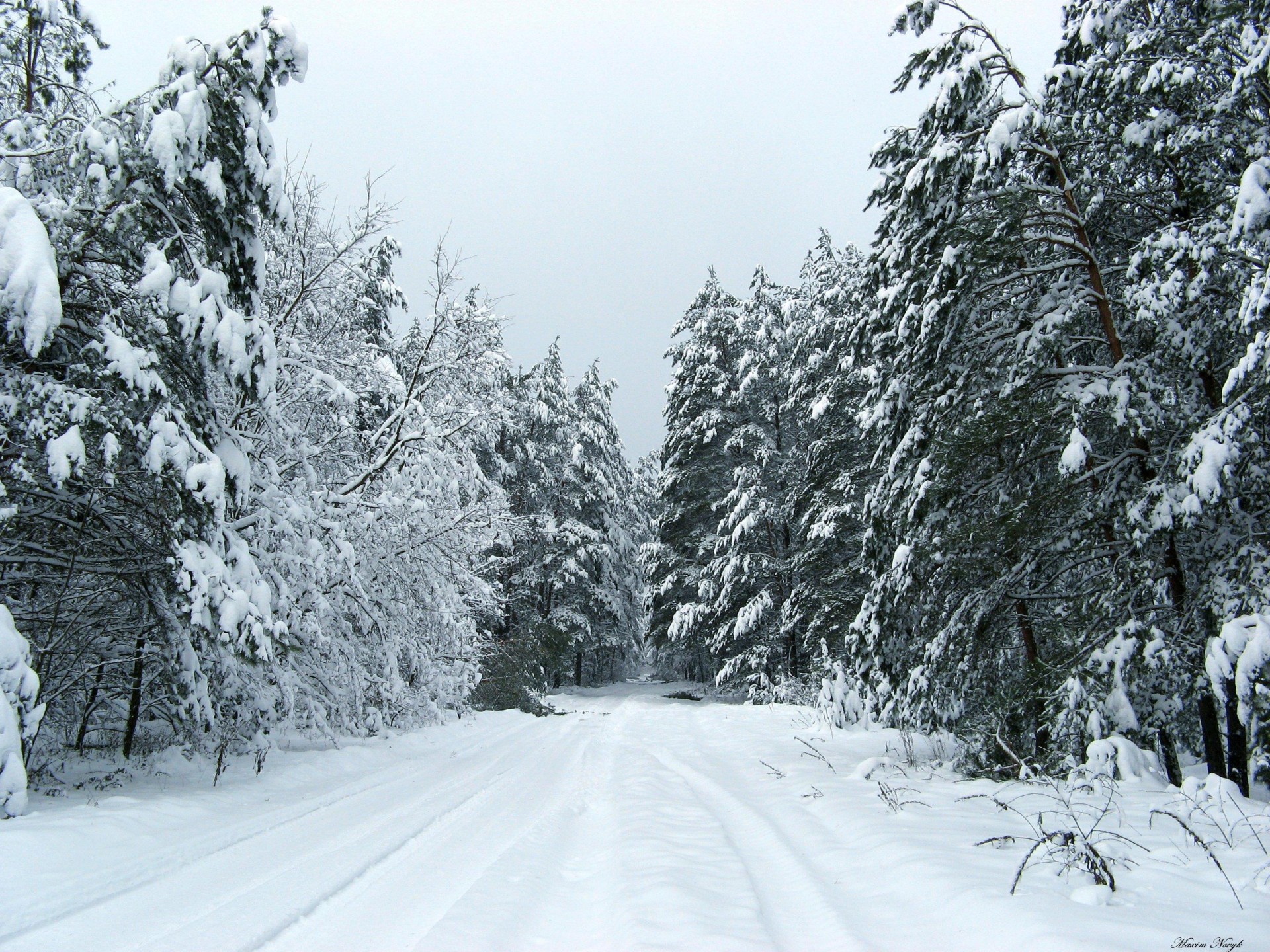 natur winter landschaft winter