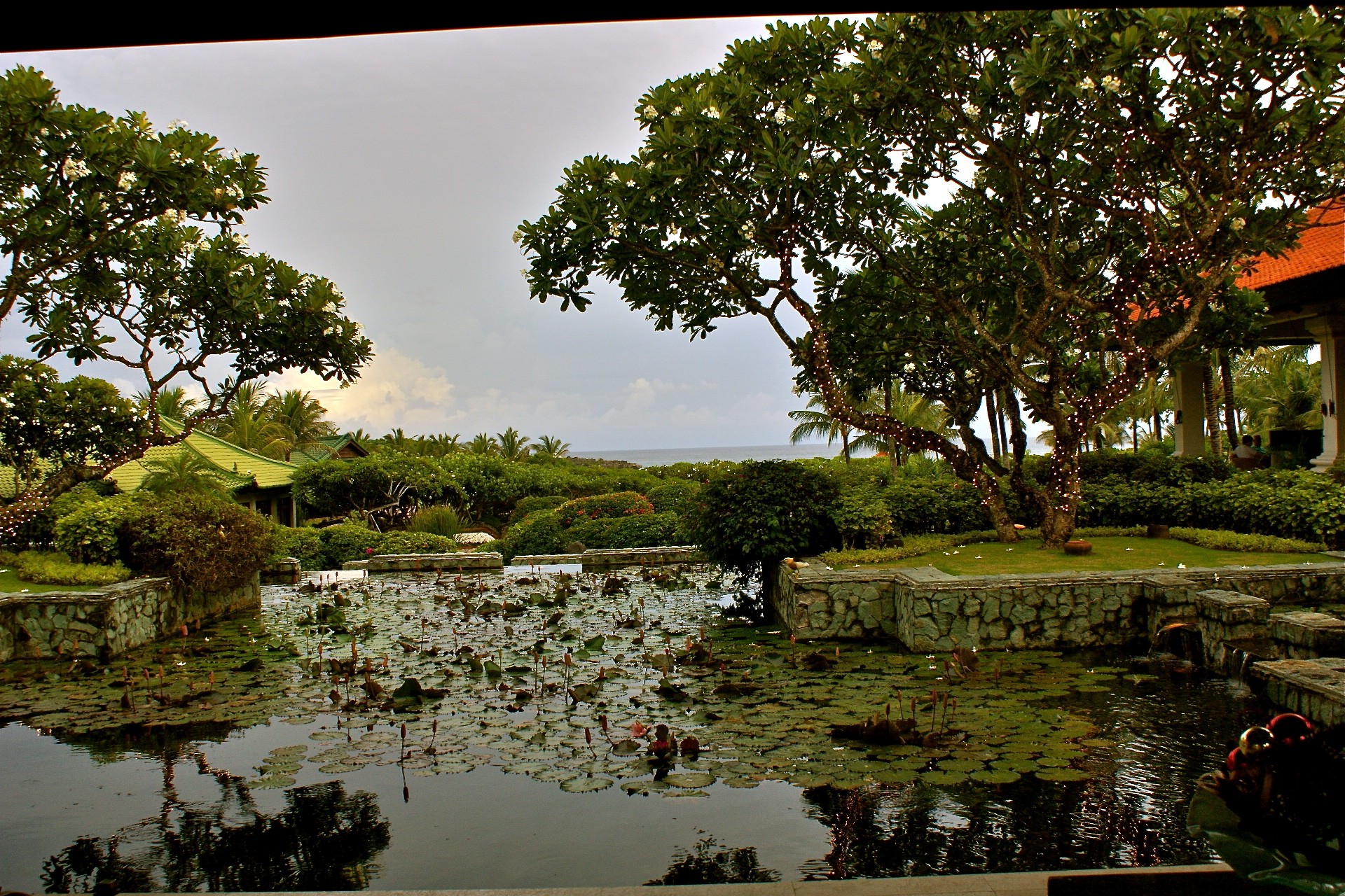 bali agua cielo