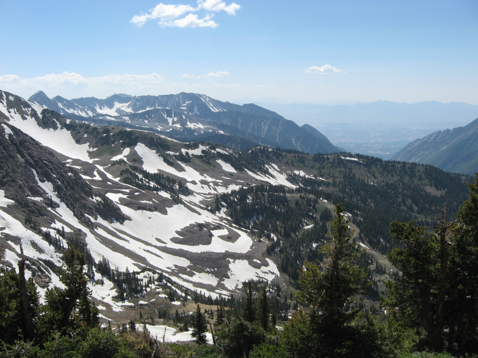 mountain snow forest america