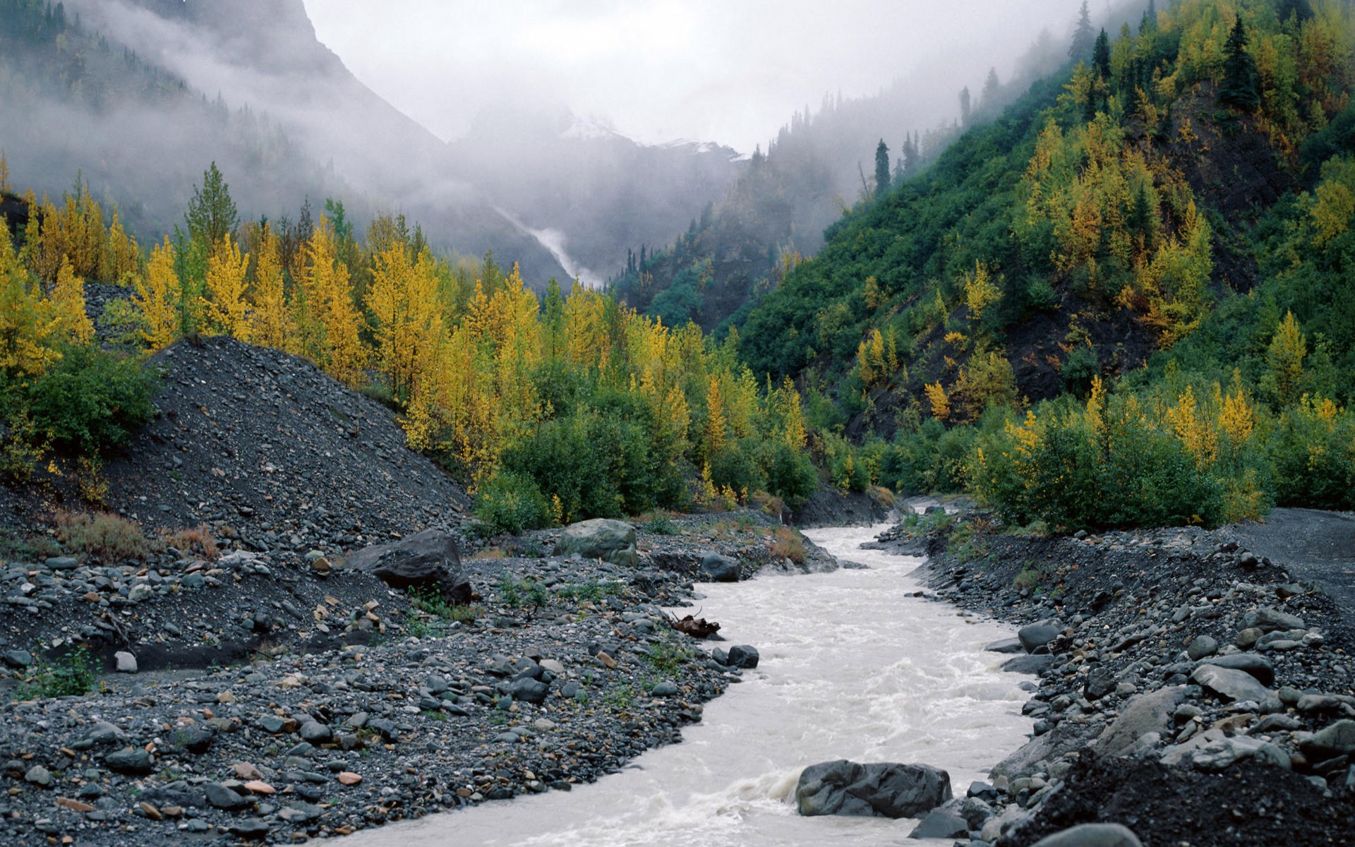 alaska river fog