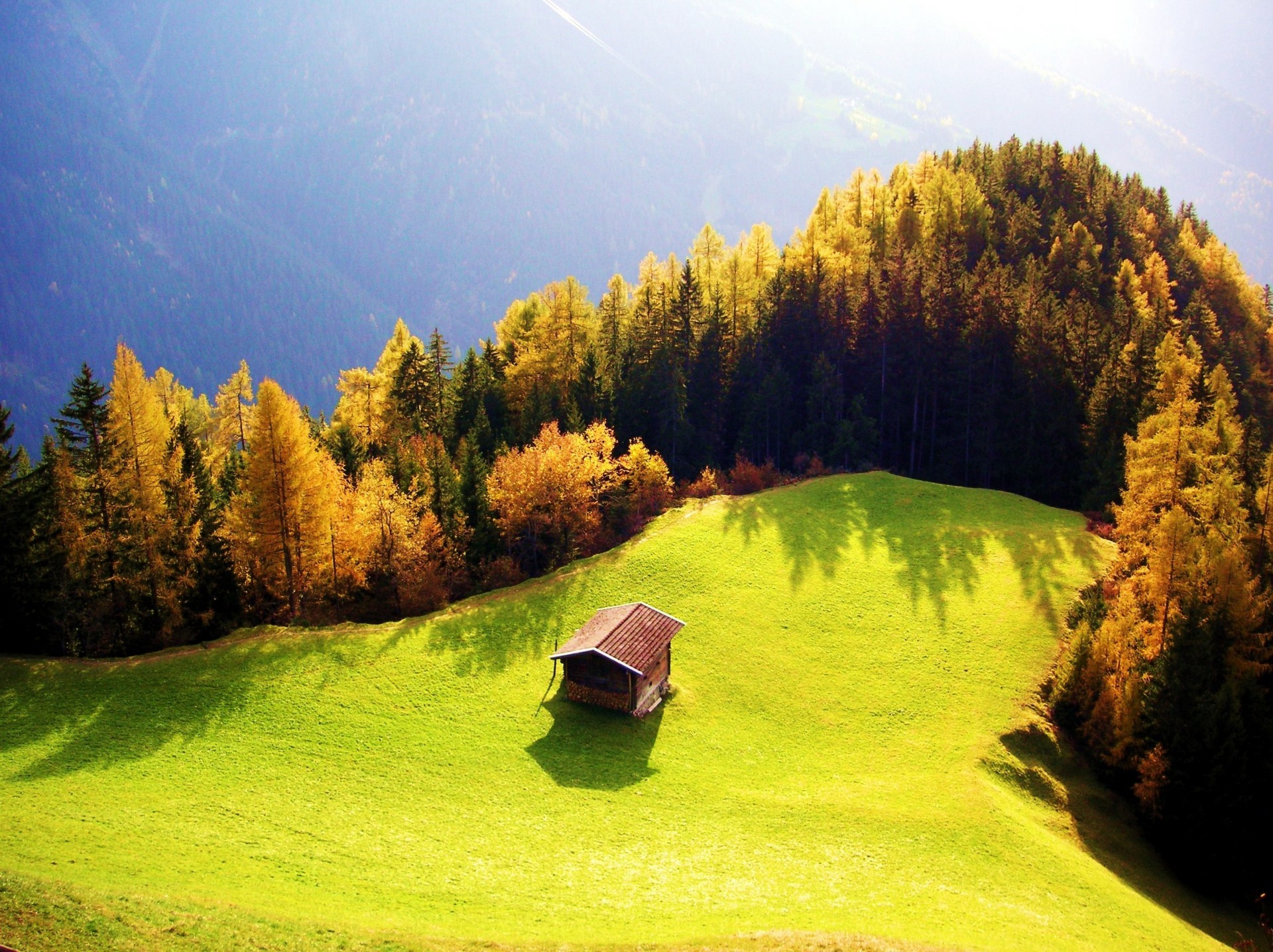 the field house grass beauty forest