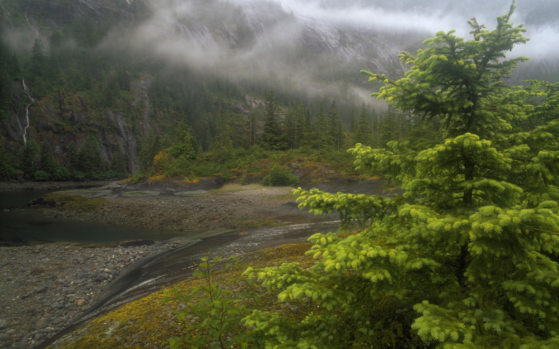 alaska río niebla