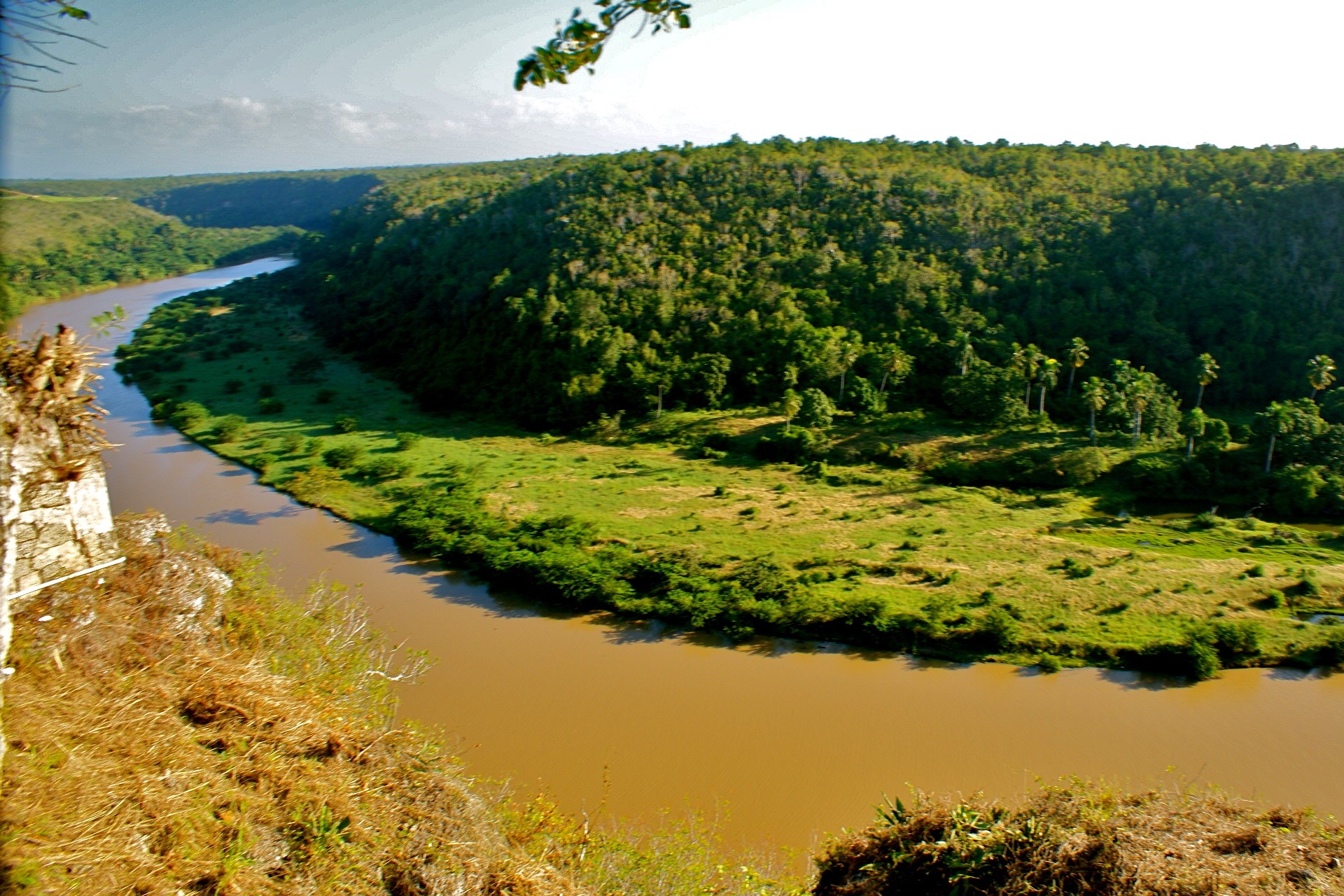 río agua cielo selva