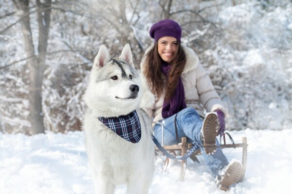 Chica con perro de trineo y trineo en la nieve