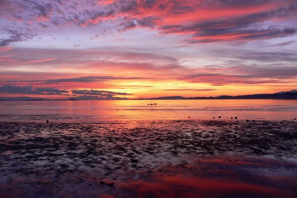 Tramonto rosa sul mare infinito