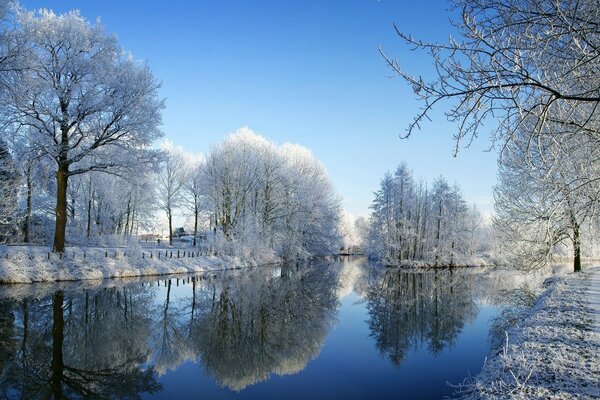 Schneebedeckte Bäume und Gras am Fluss