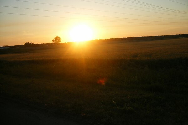 The dawn over the field is like an electric discharge