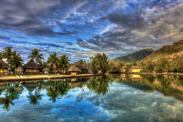Отражение пальм и облаков в реке