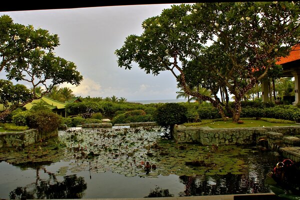 Bali nature in the daytime