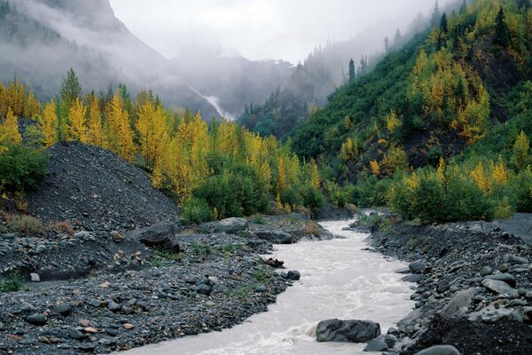 Naturfoto in Alaska