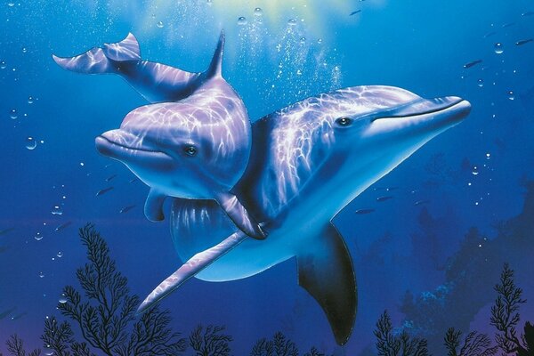Ein Delfin mit einem Jungen im blauen Wasser