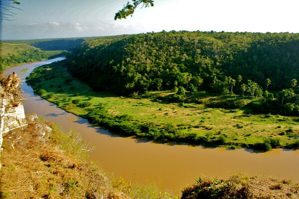 Der Fluss umschließt den grünen Wald