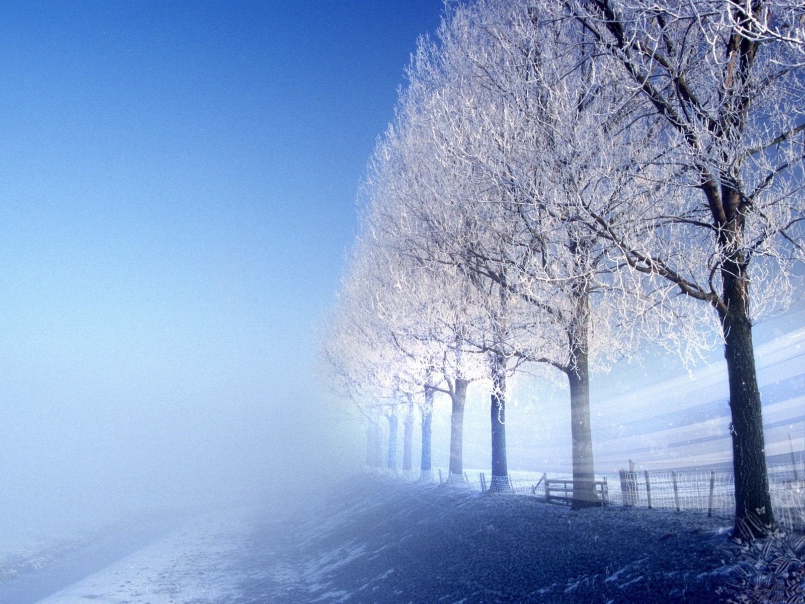 inverno ghiaccio freddo gelo strada