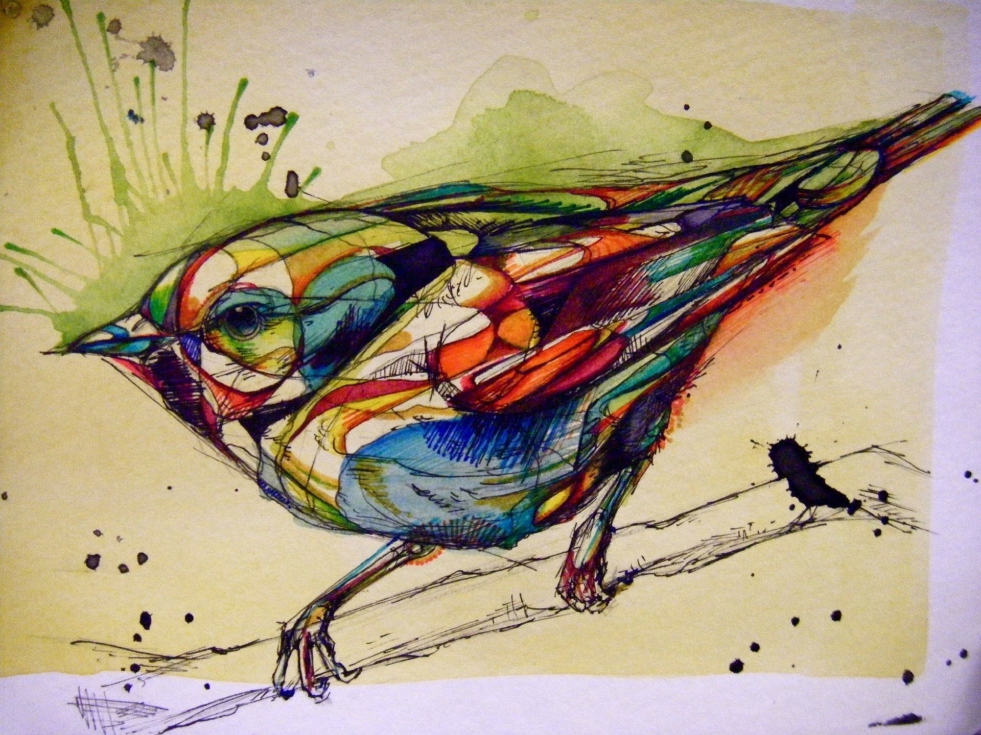 pintura aves dibujo tinta raskasska gráficos