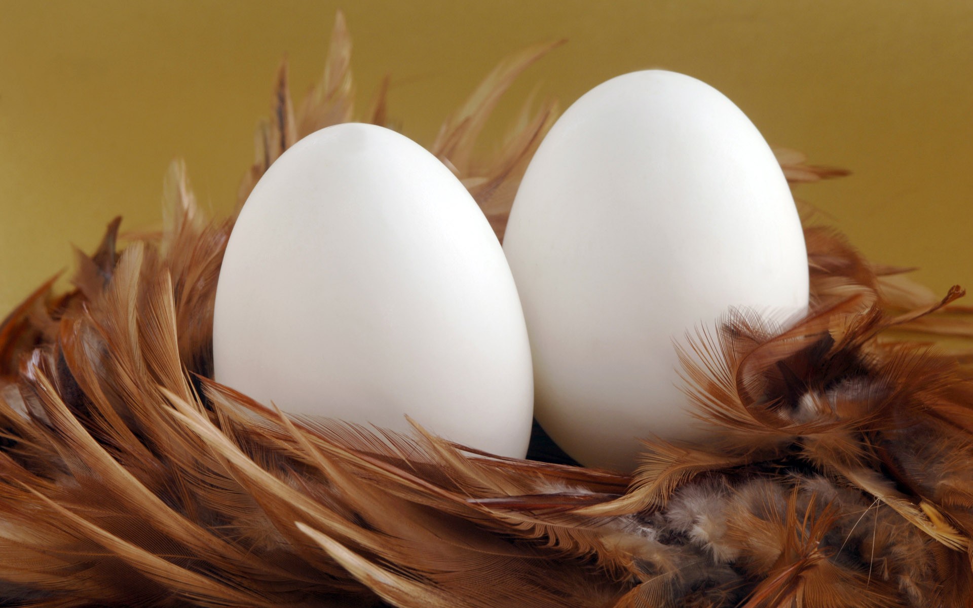 huevos nido plumas pascua