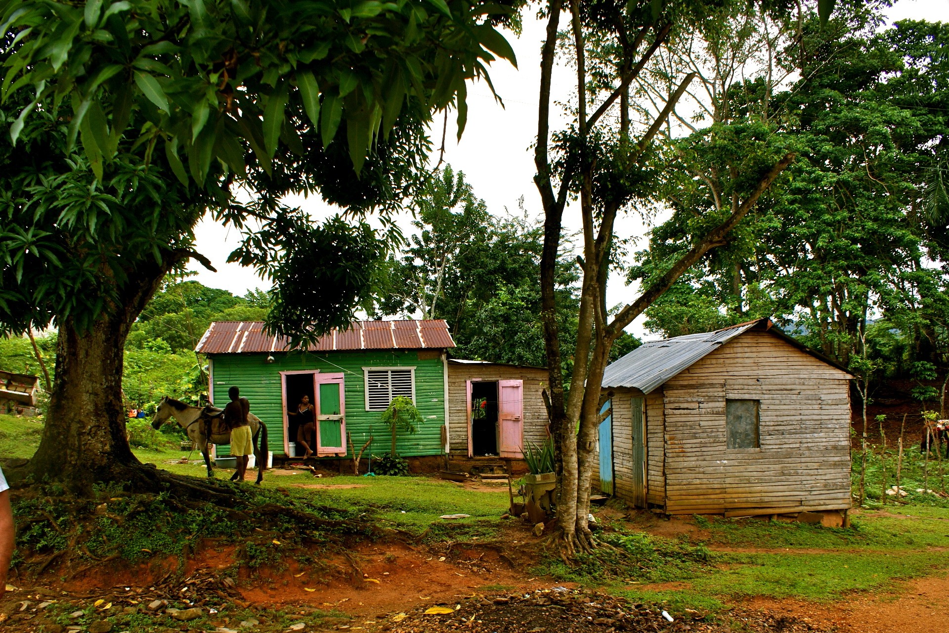 casas personas árboles