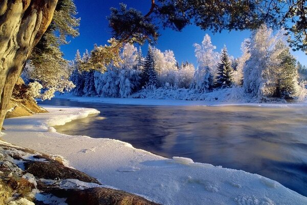 Beautiful winter landscape with a frozen river