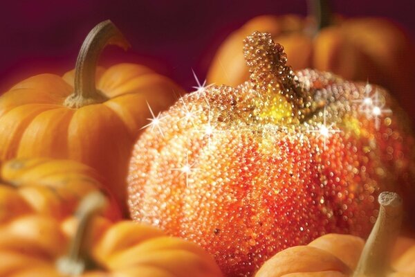 Kürbis mit Pailletten für Halloween