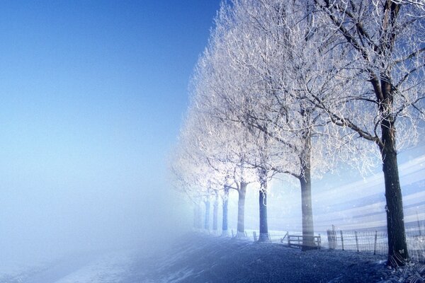 Snowy road in fog on a frosty morning