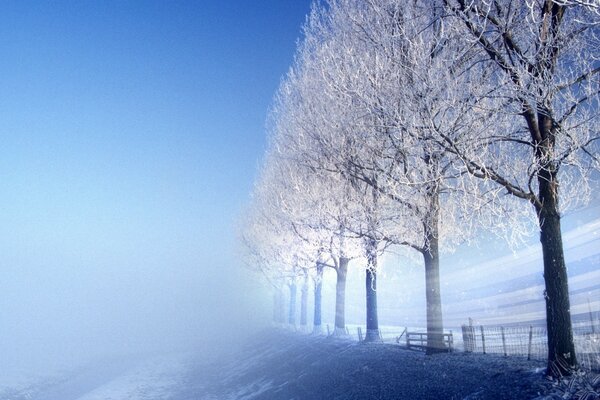 Снежная дорога в тумане морозным утром