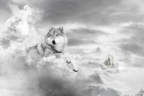 Wolf in fluffy clouds. Art