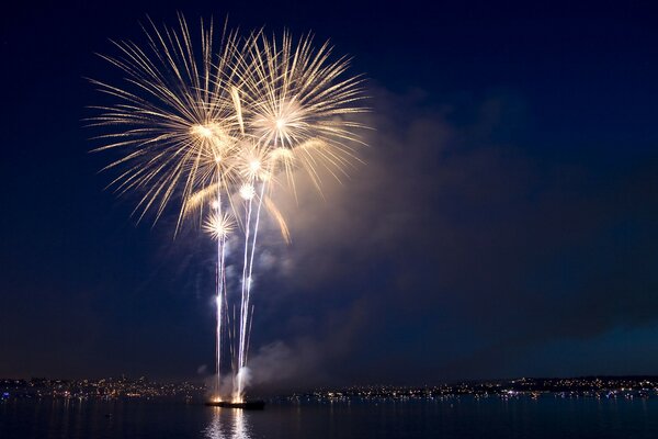 The sleeping city of lights fireworks in the night