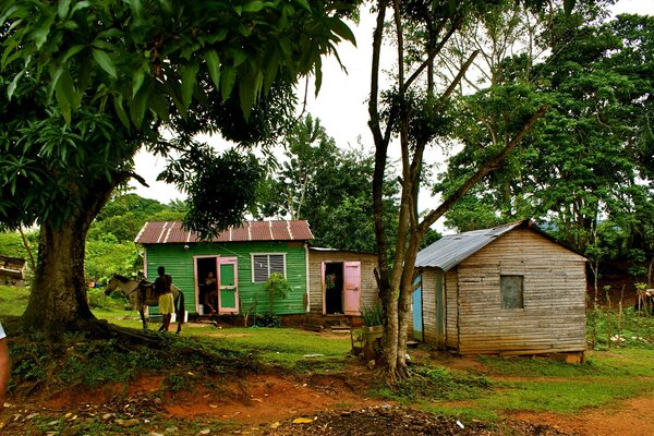 Case rustiche su uno sfondo di alberi tropicali