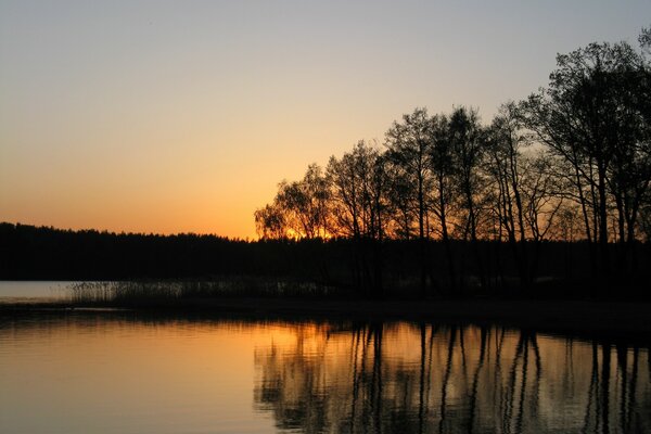 Sonnenuntergang am See vor dem Hintergrund der Bäume