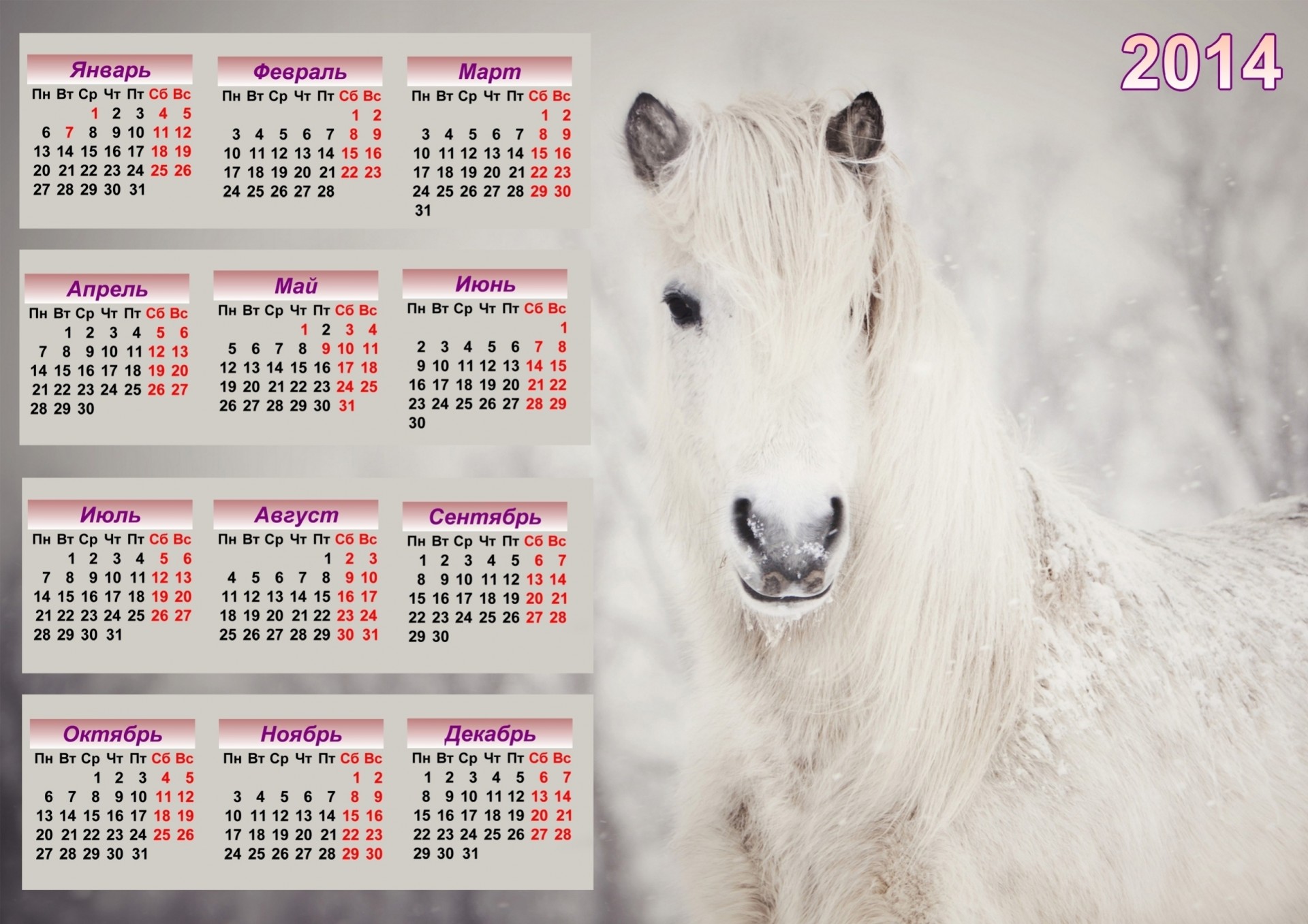 horse 2014 calendar