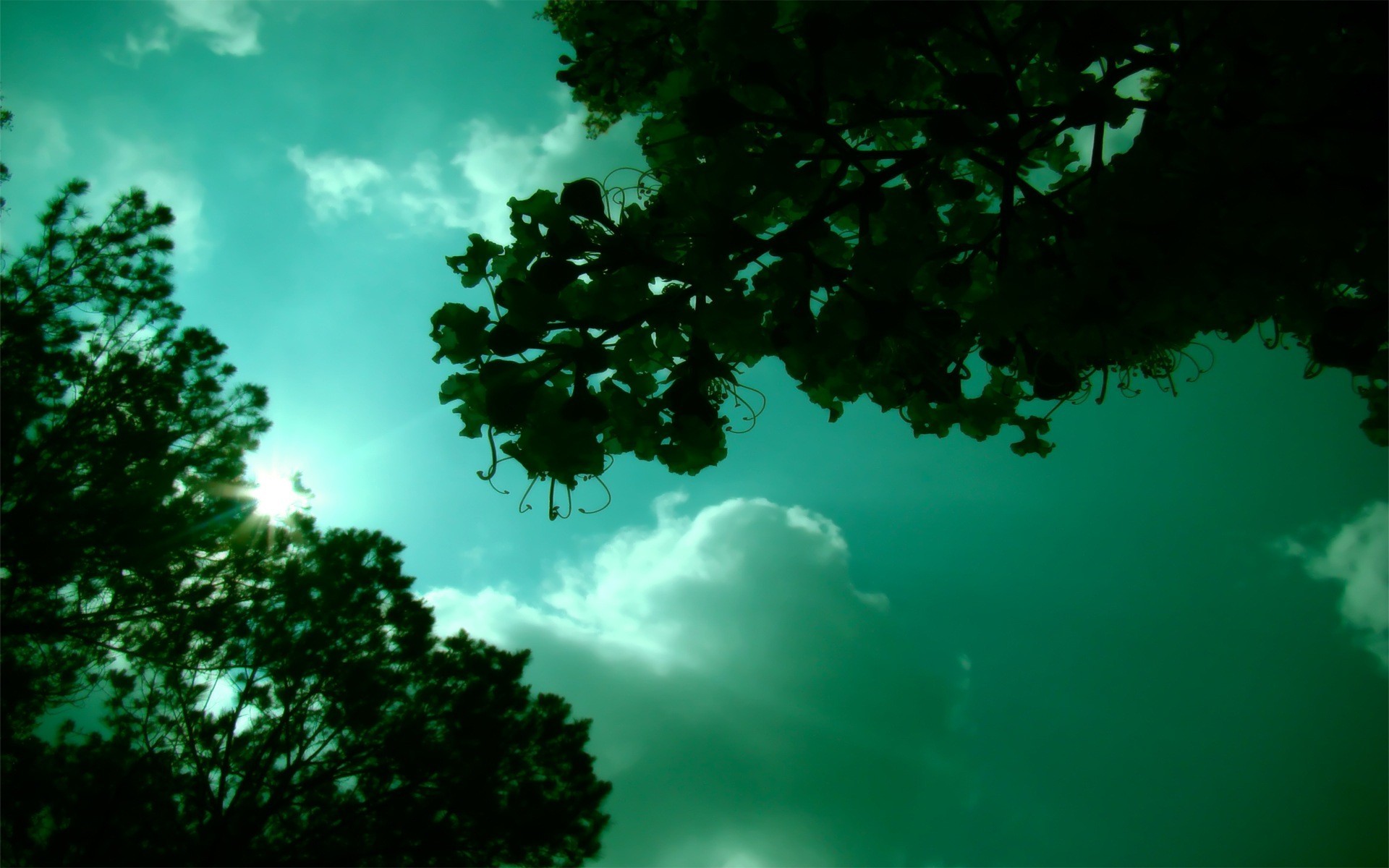 estado de ánimo cielo verde sol