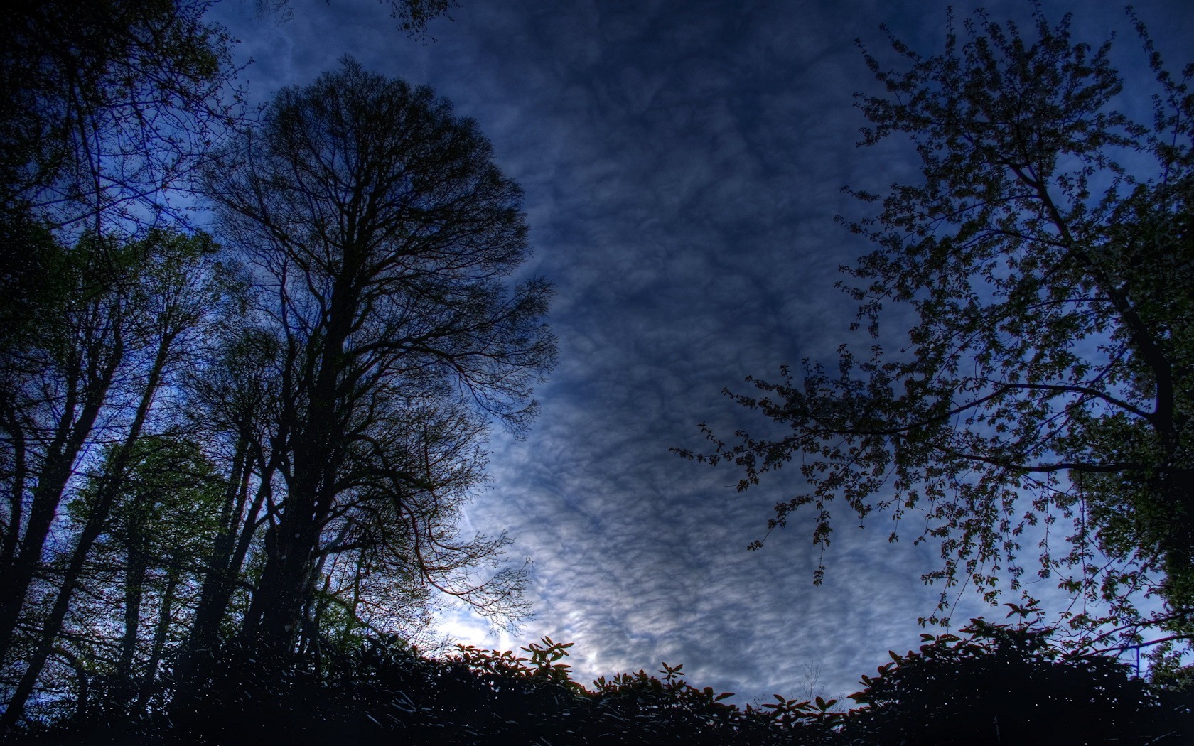 notte paesaggio cielo