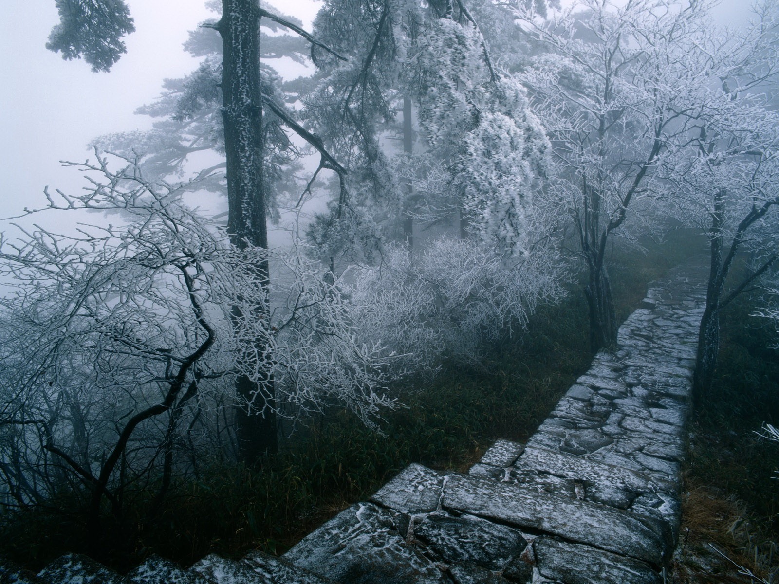 straße leiter winter