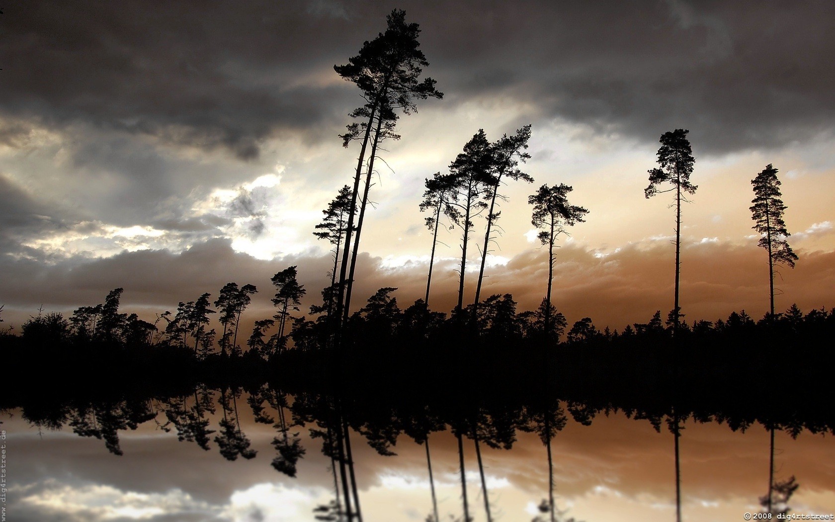 notte fiume alberi