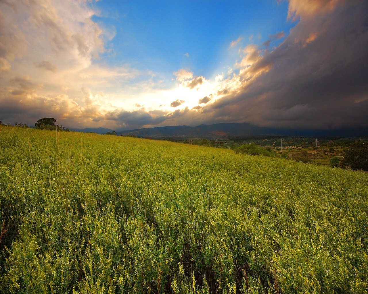 campo cielo sol imagen