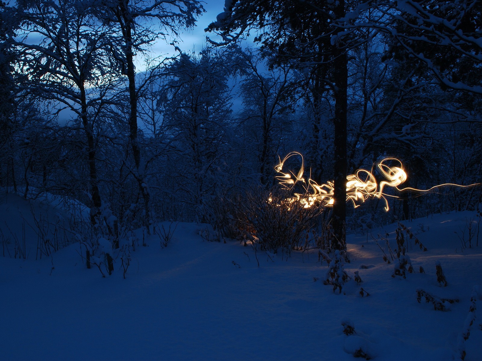 neige paysage froid