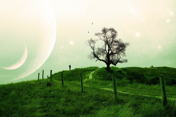 A green field with a dry tree on the background of the sky with planets