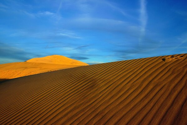 Desert dunes under a blue sky