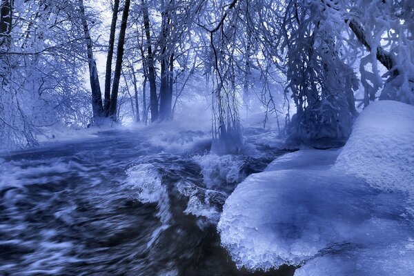 Der gefrorene Fluss unter den Bäumen ist alles im Frost