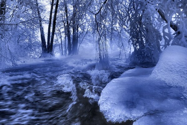 The frozen river among the trees is all in frost