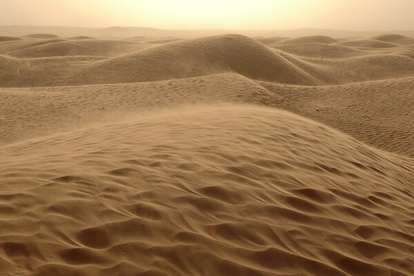 Dunes of the desert hot sand