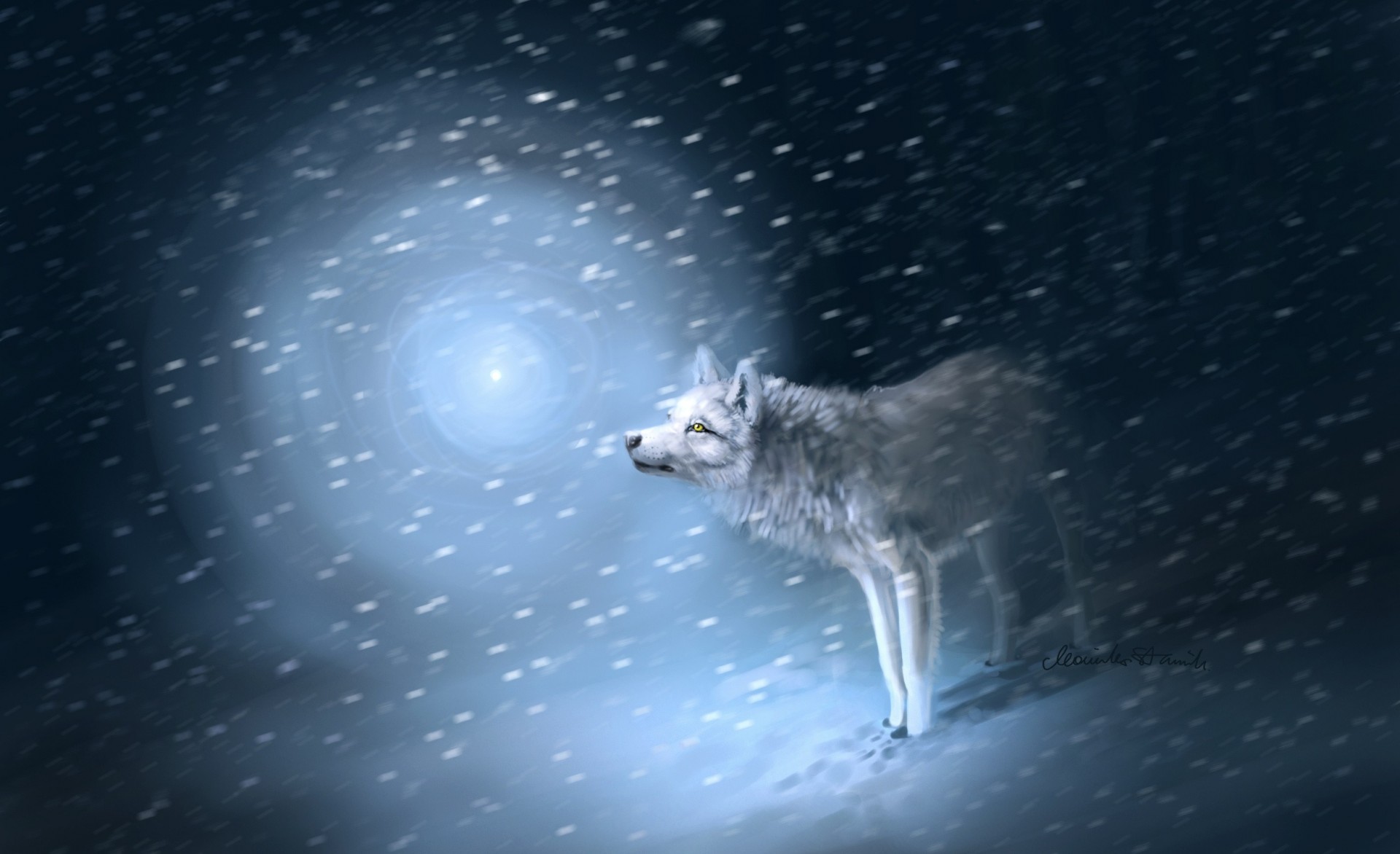 lobo luz nieve huellas tormenta