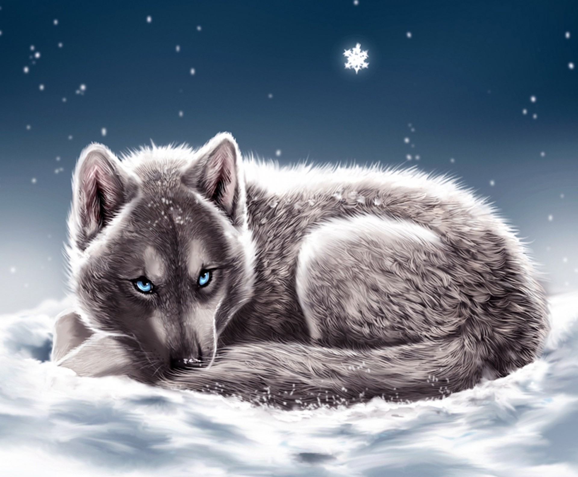 schneeflocken wolf liegt blaue augen schnee schaut winter