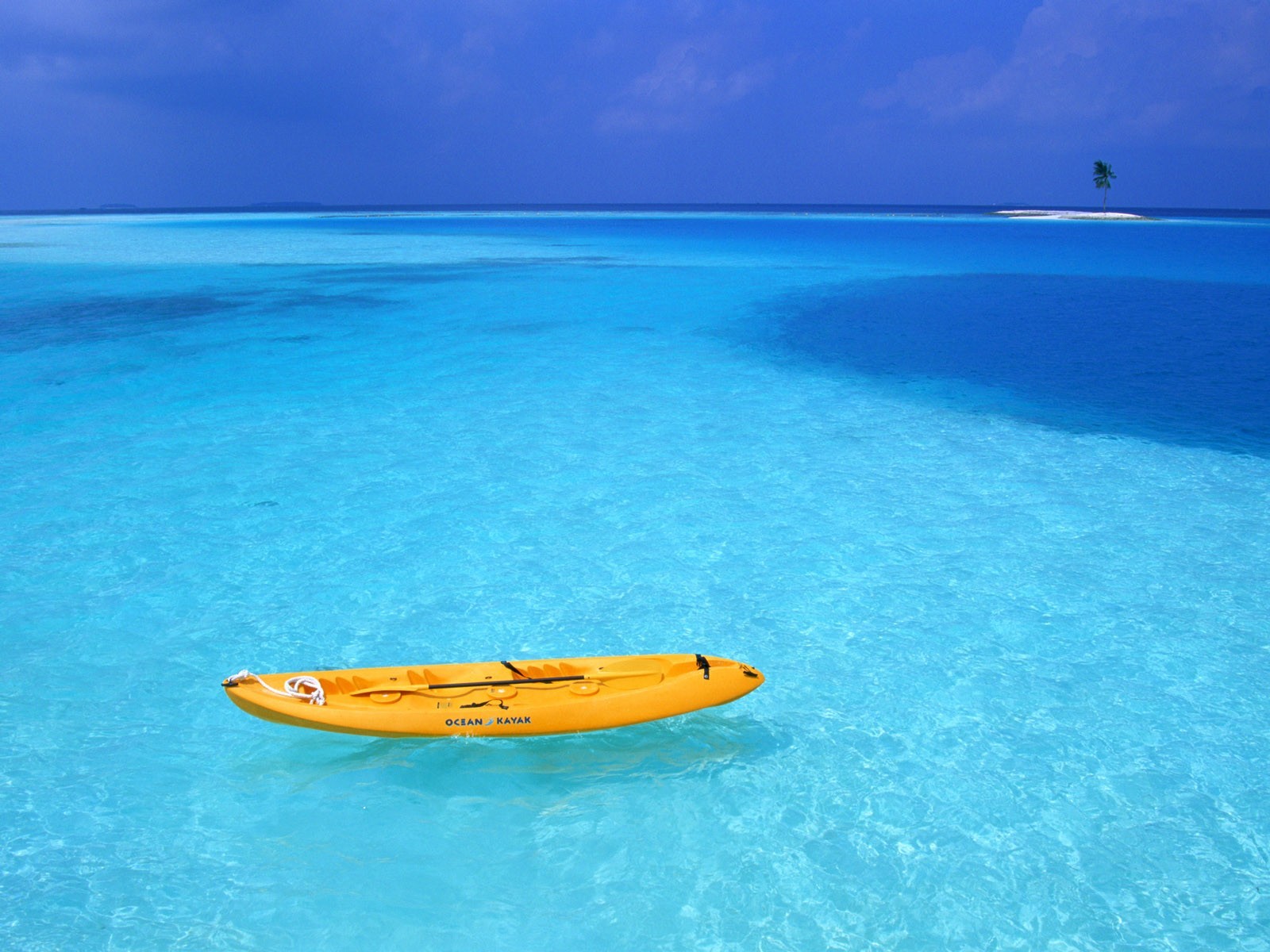 plage bateau palmier