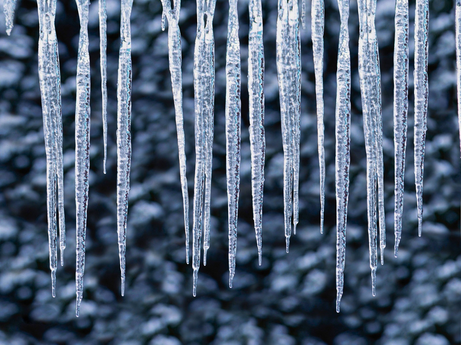 winter icicles drop