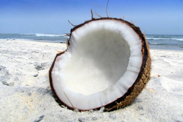 Zerbrochene Kokosnuss auf weißem Sand in der Nähe des Meeres