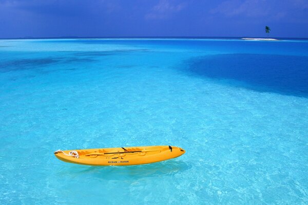 Eau d Azur avec un bateau et un palmier au loin