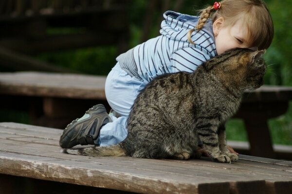 A girl with a pigtail plays with a cat