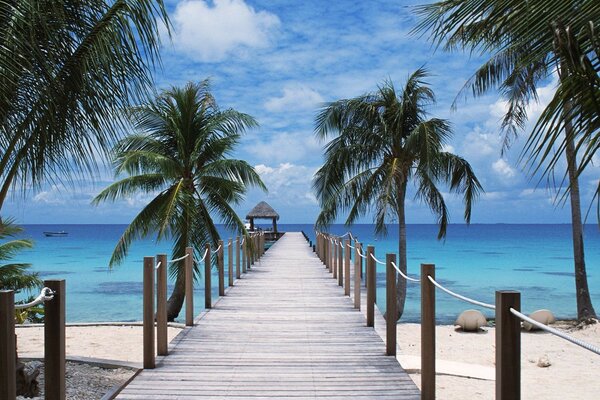 Pasarelas en una hermosa playa Polinesia con palmeras